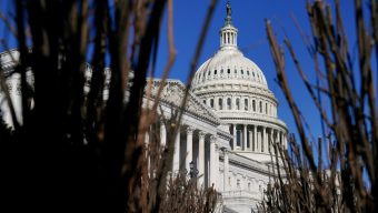 In-House Opinions: Our ongoing surveys of local members of Congress