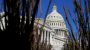 In-House Opinions: Our ongoing surveys of local members of Congress