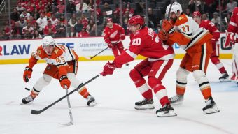 Ducks surrender 6 goals in loss to Red Wings