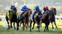 Salamis captures Hollywood Derby on second-to-last day of Del Mar’s fall meeting
