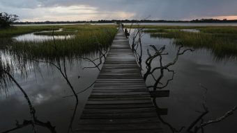 EPA moves to limit scope of clean water law to reduce amount of wetlands it covers