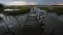 EPA moves to limit scope of clean water law to reduce amount of wetlands it covers