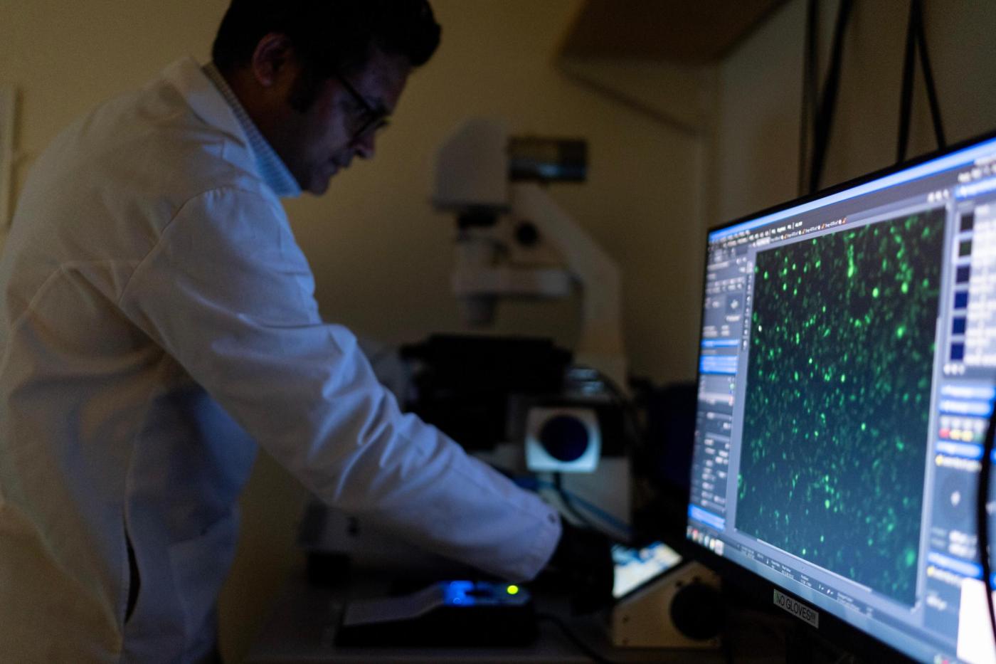 Autoimmune diseases can strike any part of the body, and mostly affect women. Here’s what to know