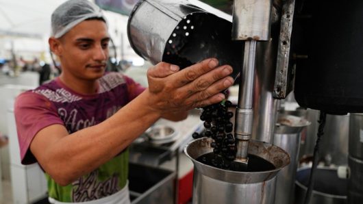 Traditional acai berry dishes surprise visitors to Brazil climate summit, no sugar added
