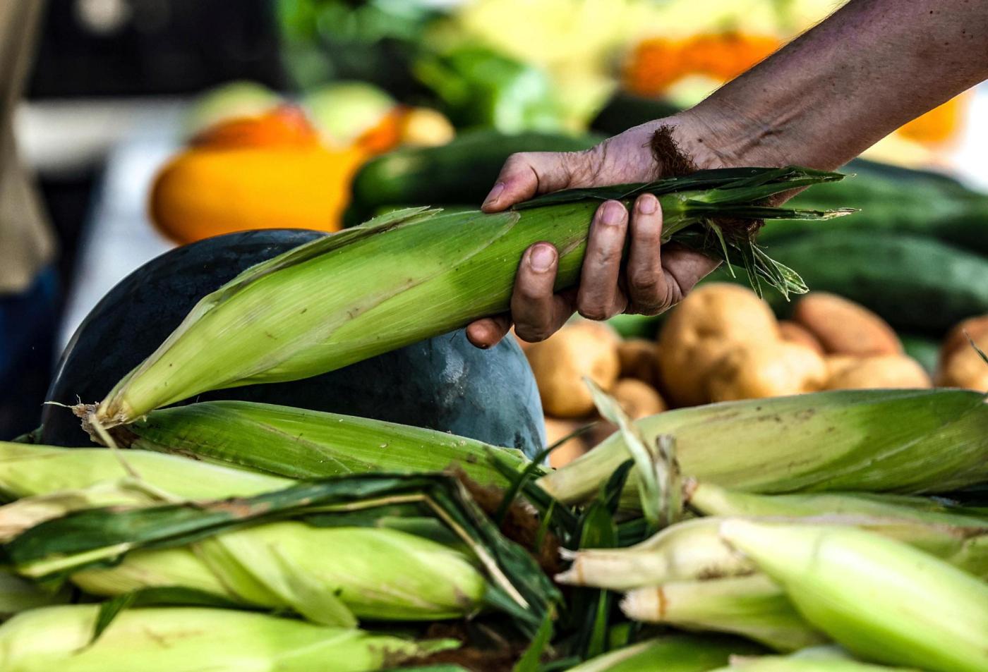 The most climate-friendly groceries might not be in the supermarket