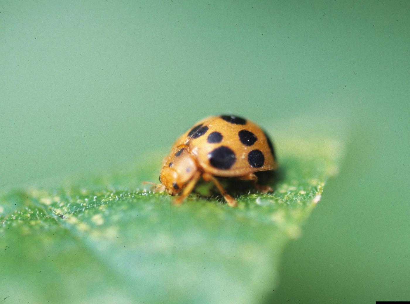 Why gardening mishaps are a (sometimes painful) part of the process