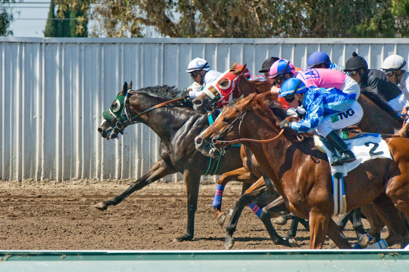 2 horses die from training injuries at Los Alamitos