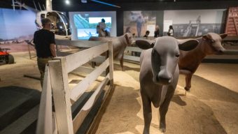 Cowboys, Western history and Hollywood “myth making” at Reagan Library