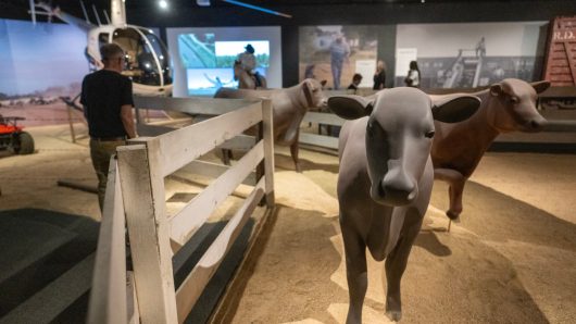 Cowboys, Western history and Hollywood “myth making” at Reagan Library