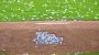 Alexander: Jane Leavy’s ideas for making baseball better
