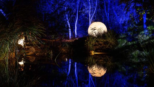 Things to do in the San Fernando Valley, LA area, Nov. 13-21