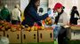 Free produce for all who come to LA County’s fresh produce distributions in the Valley