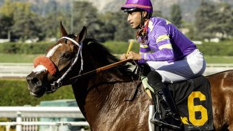 Man O Rose takes first edition of The Chosen Vron, formerly Cary Grant Stakes