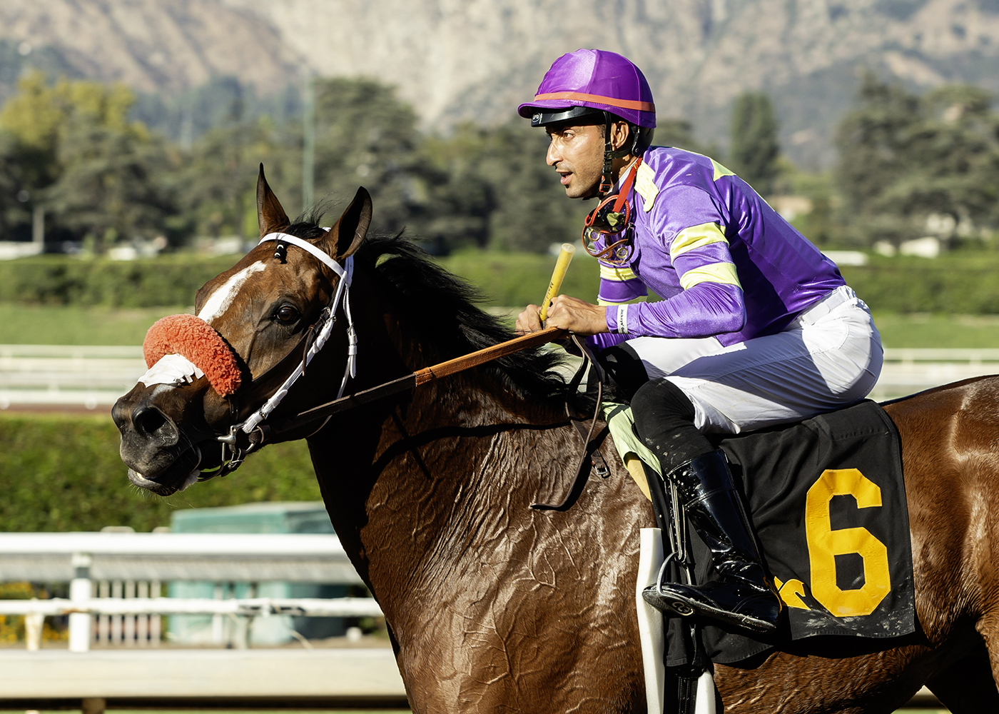 Man O Rose takes first edition of The Chosen Vron, formerly Cary Grant Stakes