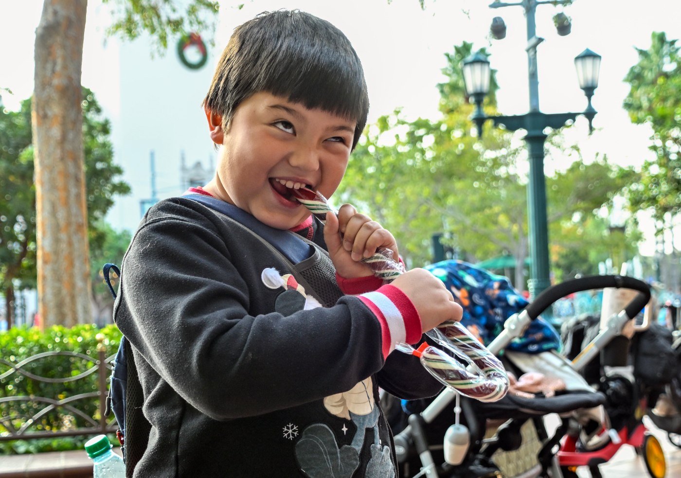 Disneyland candy canes: When, where and how to get the holiday cult classics