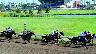 Horse racing notebook: 3 horse deaths in one night shine light on Los Alamitos