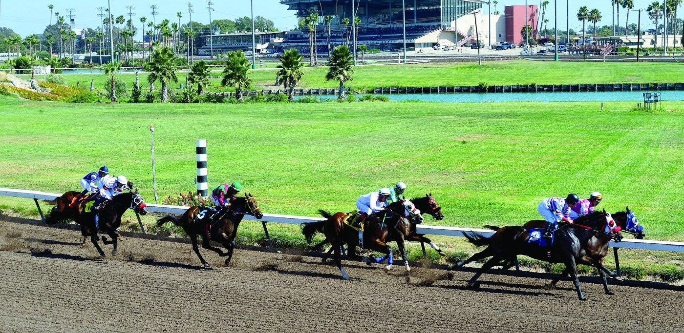 Horse racing notebook: 3 horse deaths in one night shine light on Los Alamitos