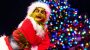 14 Grinchmas things to eat and drink at Universal Studios Hollywood