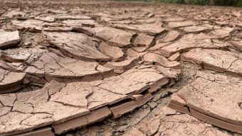 A drying-up Rio Grande basin threatens water security on both sides of the border