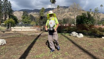 Column: The Great Altadena Poppy Project launches this weekend, for free