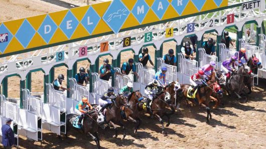 Del Mar consensus picks for Saturday, Nov. 29, 2025