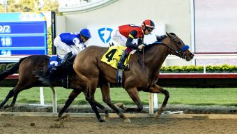 Revera wins Desi Arnaz stakes; Breeders’ Cup viewership climbs