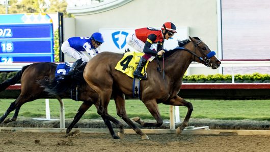 Revera wins Desi Arnaz stakes; Breeders’ Cup viewership climbs