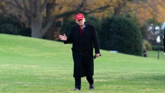 Turkey pardons offer holiday ritual during precarious moment for Trump