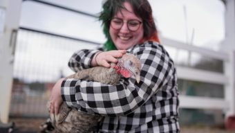 At The Gentle Barn, turkeys are for snuggling, not stuffing at Thanksgiving