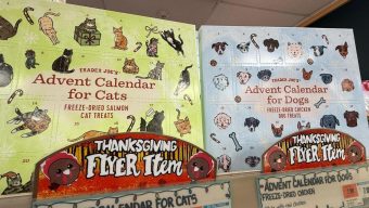 Fishing lures. Pet toys. Art supplies. Advent calendars offer personalized ways to count down