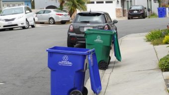 America Recycles Day: What and what not to put in the bin