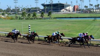 Fdd Dreams wins Champion of Champions at Los Alamitos as a horse dies