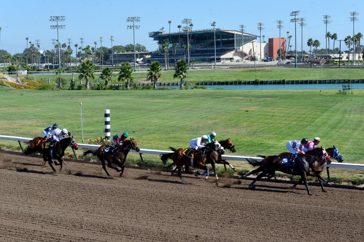 Fdd Dreams wins Champion of Champions at Los Alamitos as a horse dies