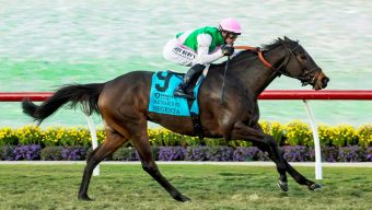 Del Mar’s fall season wraps with Segesta’s win in Matriarch Stakes