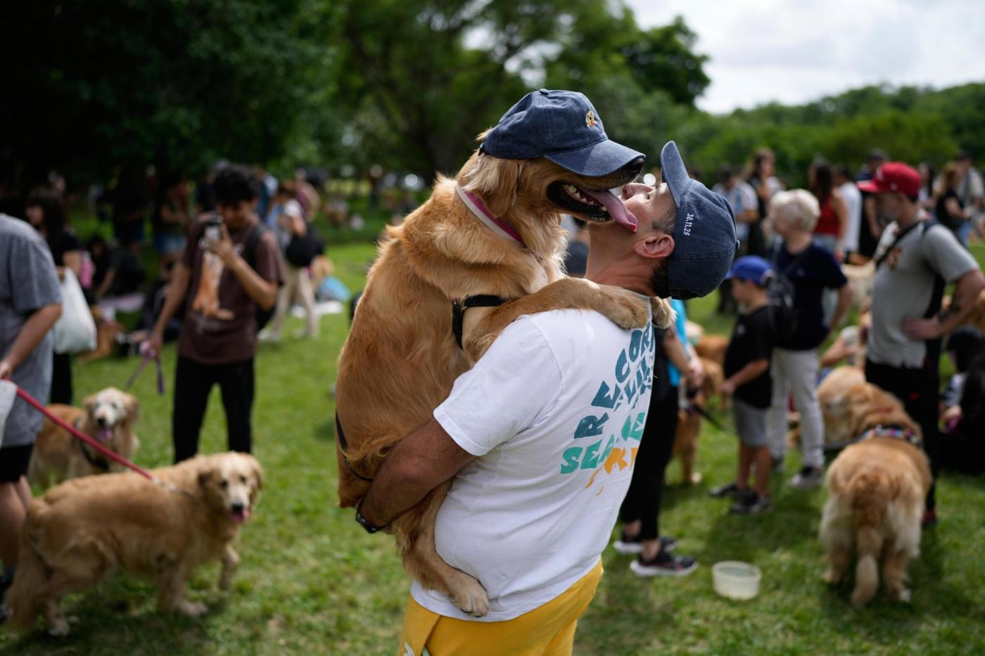 A symphony of woofs: This is what happens when 2,397 golden retrievers gather in an Argentina park