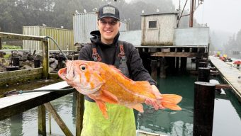 A California fisherman may have broken records by catching a 10.25-pound canary rockfish