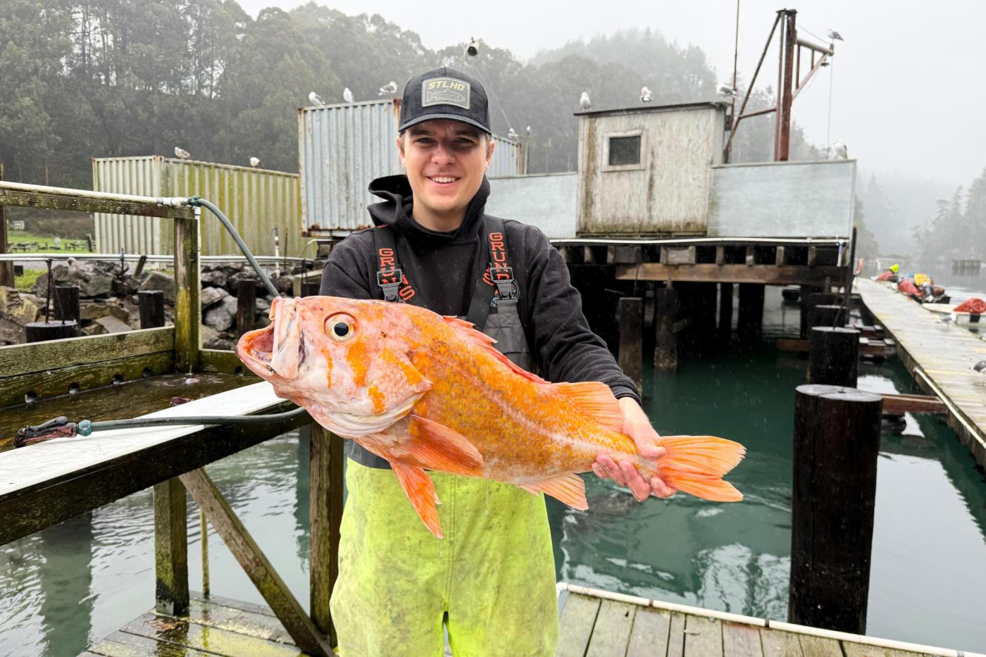 A California fisherman may have broken records by catching a 10.25-pound canary rockfish