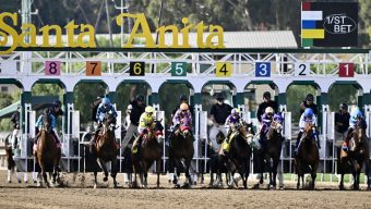 Racehorse killed in collision on Santa Anita training track