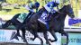 Bob Baffert’s Goal Oriented scratches out win in Malibu Stakes at Santa Anita