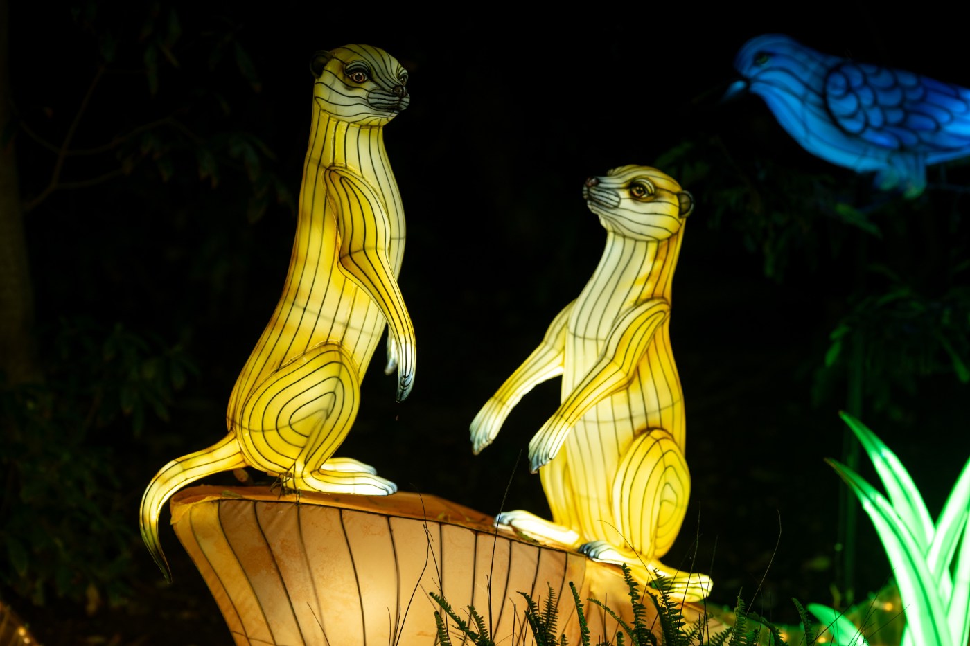 Things to do in the San Fernando Valley, LA area, Dec. 11-19