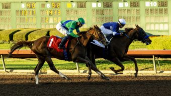 Liberation, Juan Hernandez win close one at Los Alamitos