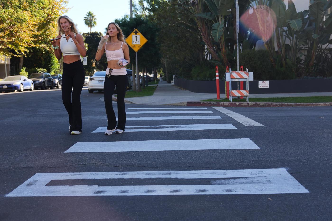 Activist arrested, accused of vandalism after painting Los Angeles crosswalk deemed unsafe