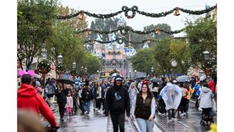 Niles: A Christmas wish list from a theme park fan