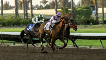 Los Alamitos stakes upset leaves 3 tied for jockey title