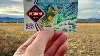 Artist makes stickers to cover Trump’s face on National Parks passes — and the orders are flying in