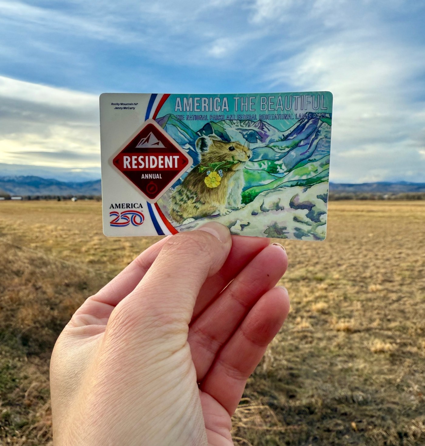 Artist makes stickers to cover Trump’s face on National Parks passes — and the orders are flying in
