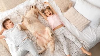 Sleep better with top rated mattresses under $1000