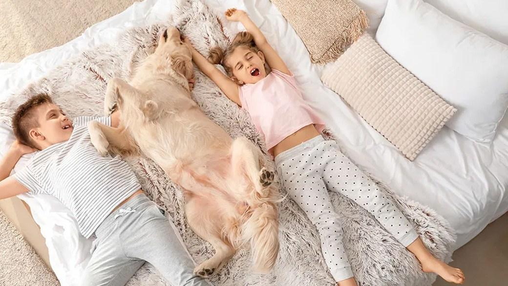Sleep better with top rated mattresses under $1000