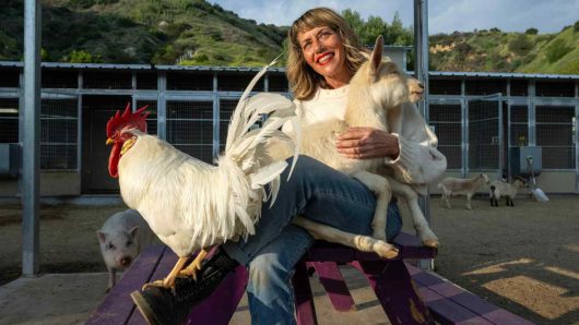 Love Always Sanctuary is home to more than 105 rescued farm animals