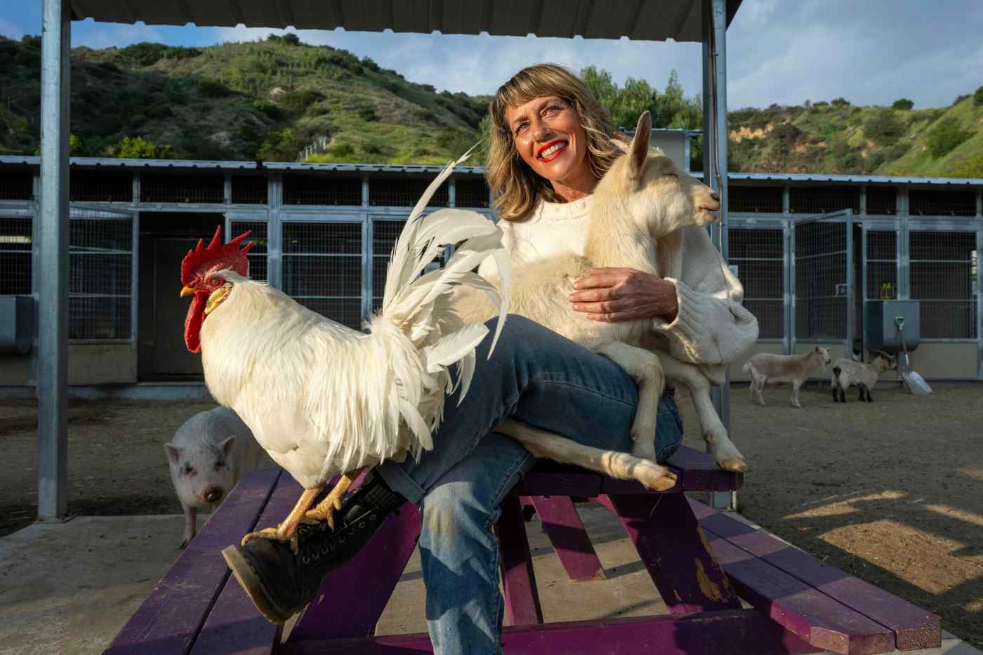 Love Always Sanctuary is home to more than 105 rescued farm animals